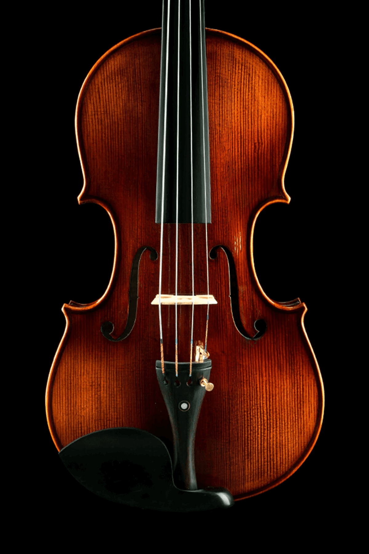 Timeless Design Intermediate Viola Outfit VI2