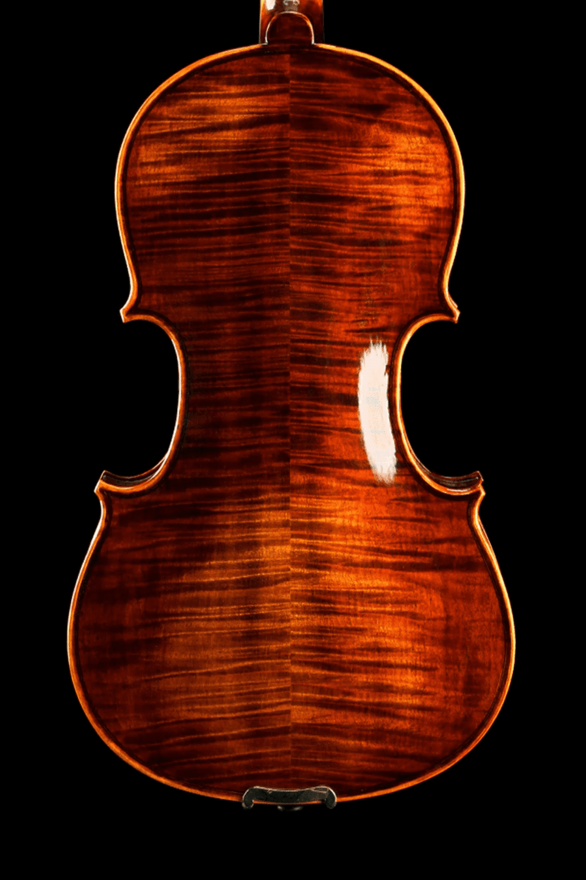 Timeless Design Intermediate Viola Outfit VI2