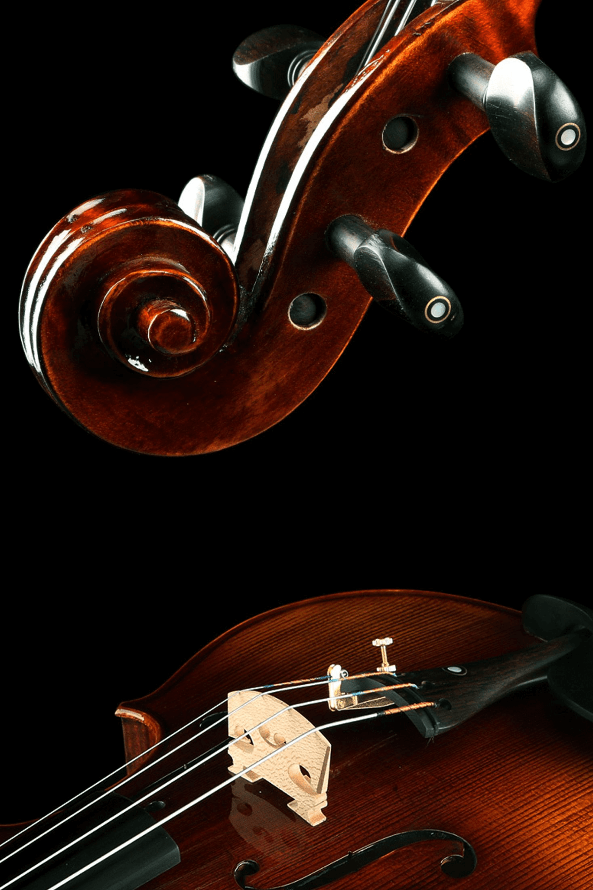 Timeless Design Intermediate Viola Outfit VI2