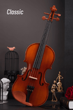 Entry-level Beginner/Student Violin Outfit  L002-2